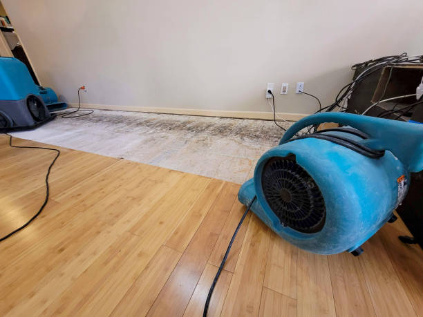 Professional Ceiling Water Damage Repair technician working in Audubon, MN