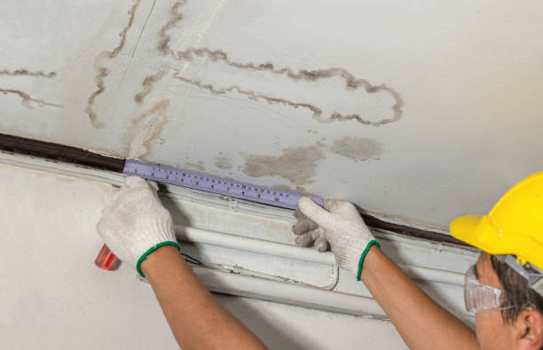 Affordable Ceiling Water Damage Repair solutions in Audubon, MN